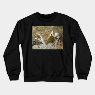 Churchyard Fairy Crewneck Sweatshirt